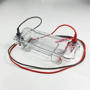ELECTROPHORESIS